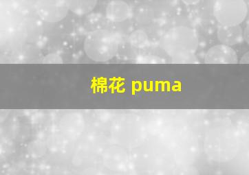 棉花 puma